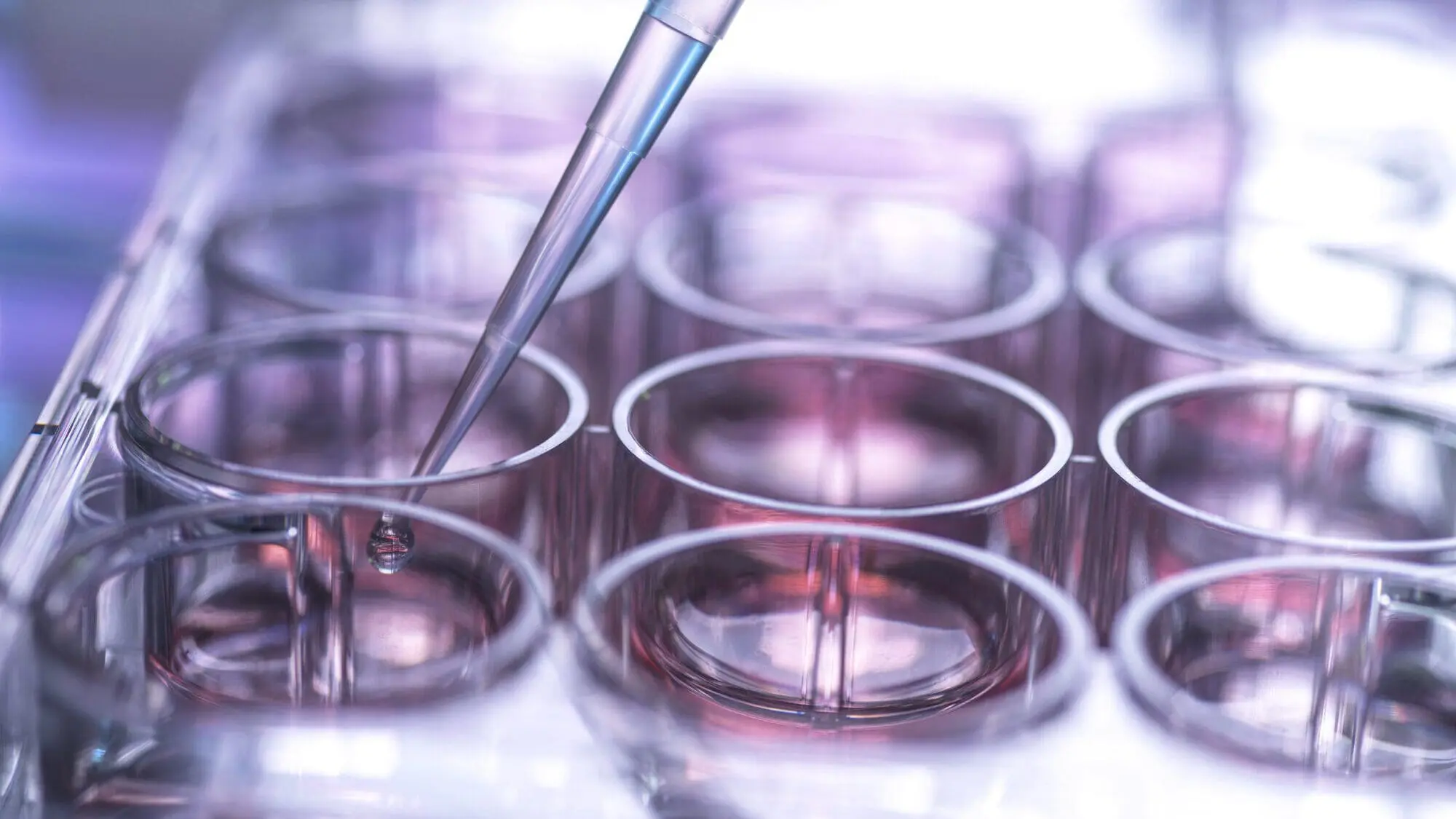 What we can learn from the world's leading innovators