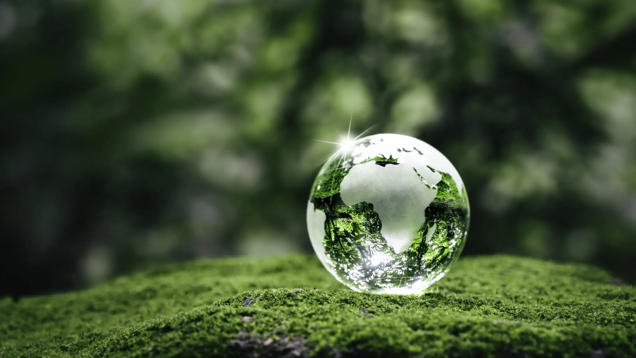 21st Century Evolution of Sustainable Plastic Technology Trends