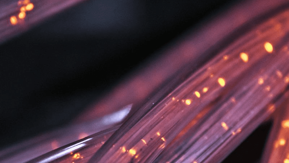 Detail of electronic fibers