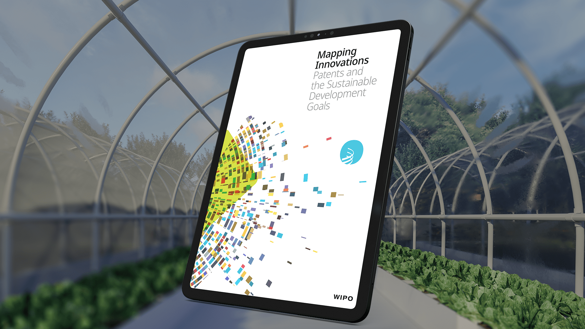Mapping Innovations: Patents and the Sustainable Development Goals