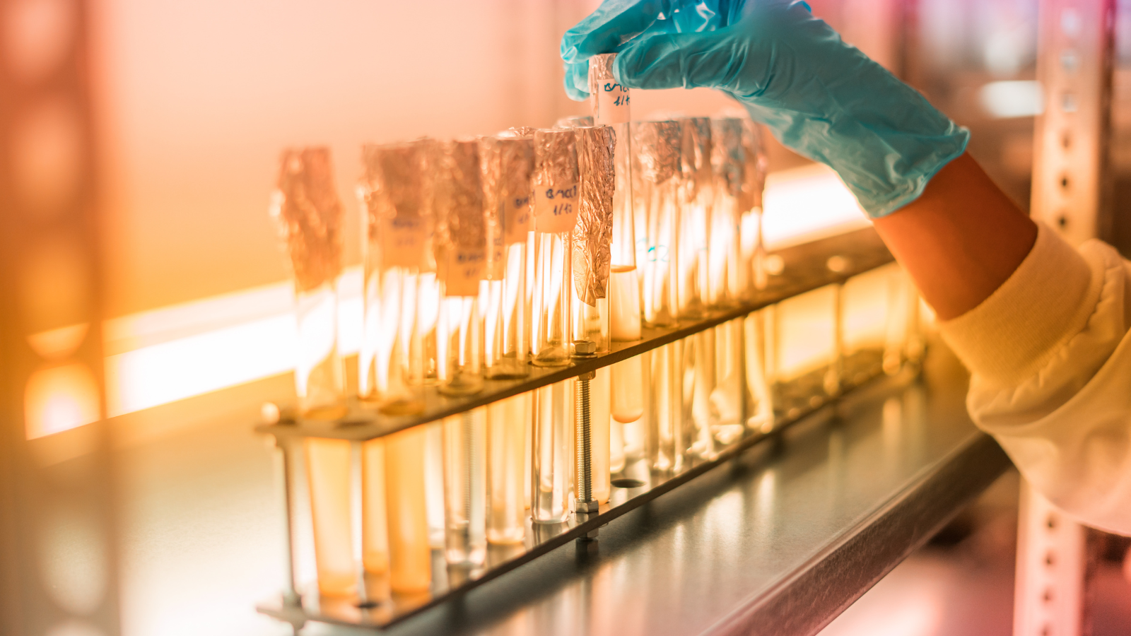 LexisNexis Recognizes World’s Ten Most Innovative Biotech Startups