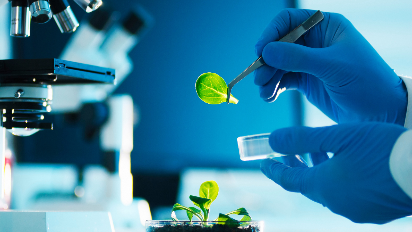 Patent Analytics Reveal the World’s Most Innovative Biotech Start-ups
