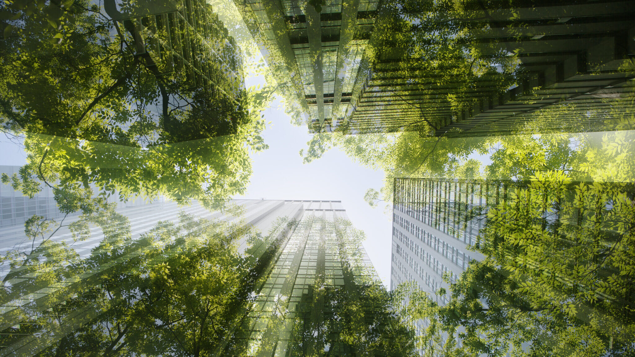 Going Green - Considerations When Advising Clients
