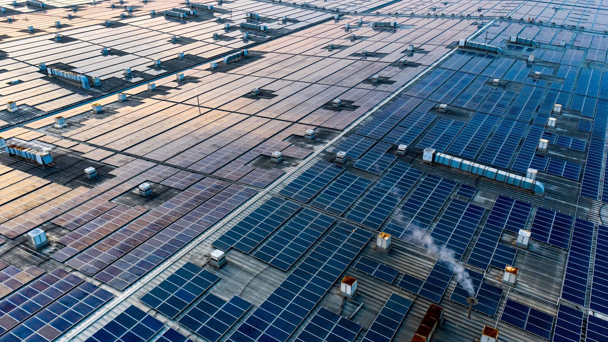 Corporate Sustainability: The Global Push for Action and the IP Department’s Role
